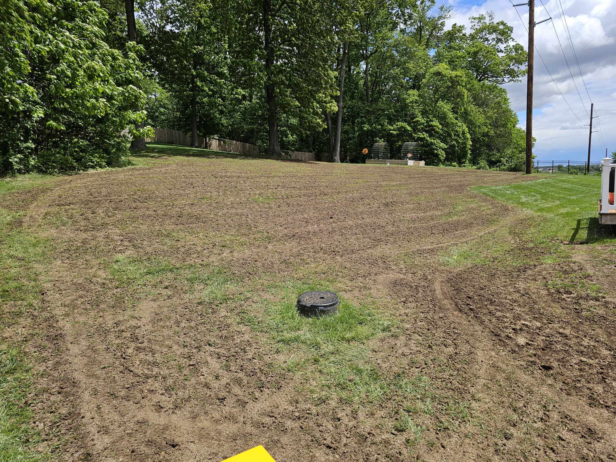 New Lawn Seeding